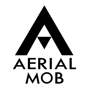 Aerial MOB Announces Alliance with Panavision