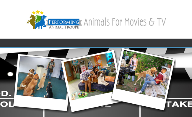 Why Use Performing Animal Troupe?