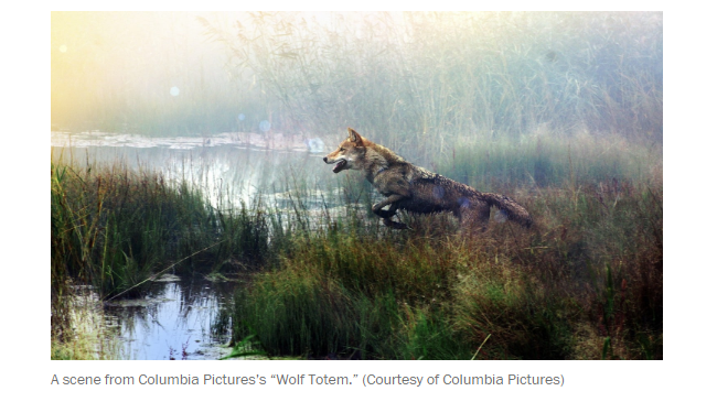 Instinct Animals for Film