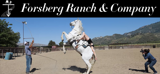 Forsberg Ranch & Company Welcomes You