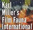 Introducing Film Fauna International