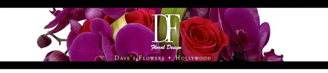 Arrangements that will WOW by Dave\'s Flowers!