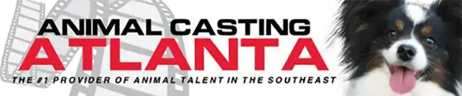 ANIMAL CASTING - ATLANTA current projects! 