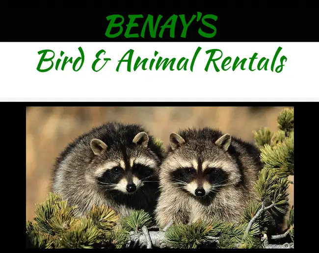 BENAY\'S Bird & Animal Rentals