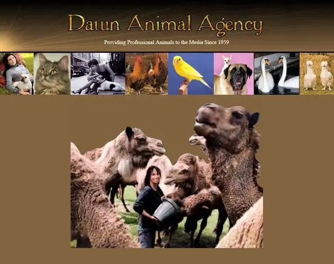 Dawn Animal Agency Provides Creatures on Camera