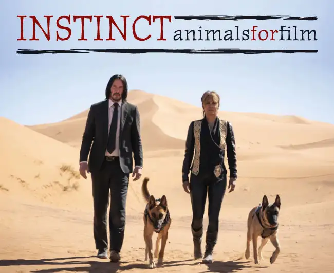 Instinct Animals for Film in John Wick 3!