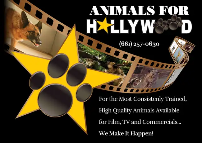 Animals for Hollywood: an expansion of Boone\'s Animals