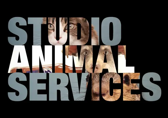 Studio Animal Services