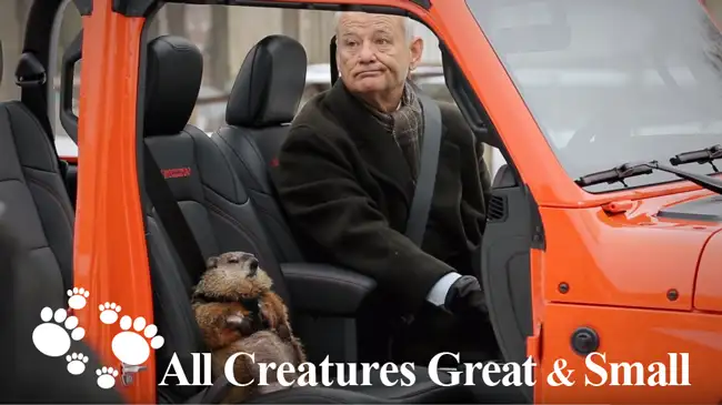 BEHIND THE SCENES: ACG&S\'s Groundhog "Poppy" Stars in Super Bowl Commercial
