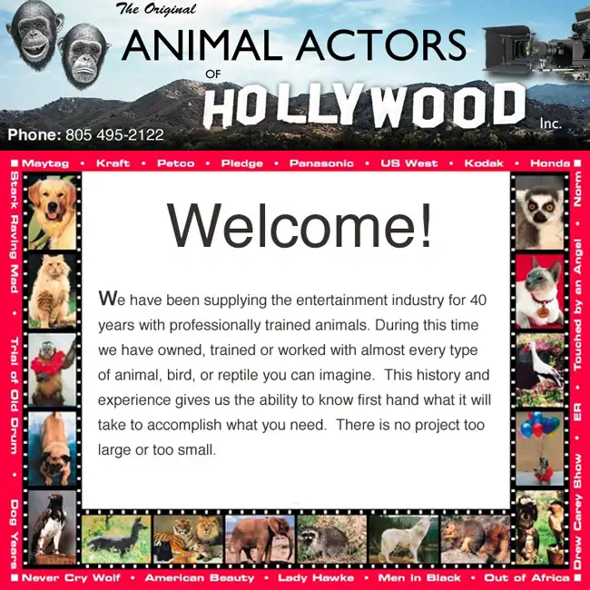 Animal Actors of Hollywood for 40 Years!