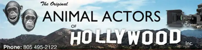 Animal Actors of Hollywood with Over 50 Years in the Industry