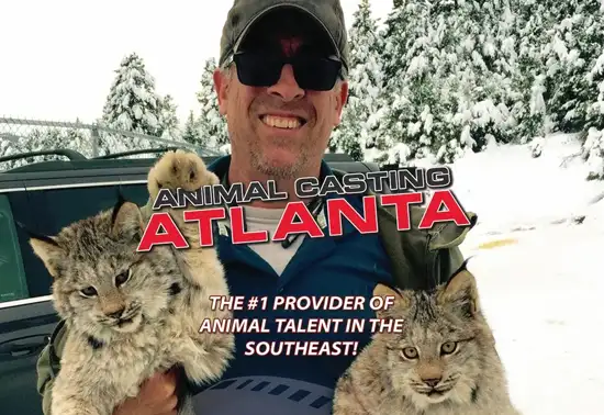 Animal Casting Atlanta Serving the Southeast
