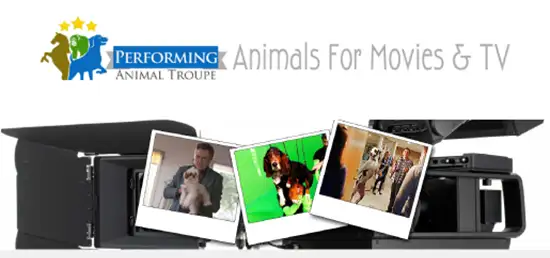 Performing Animal Troupe Has Over 30 Years Experience