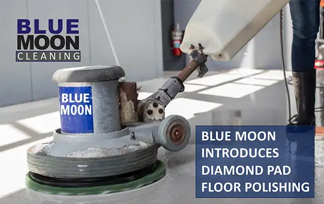 NEED MORE SPARKLE IN THE FLOOR?