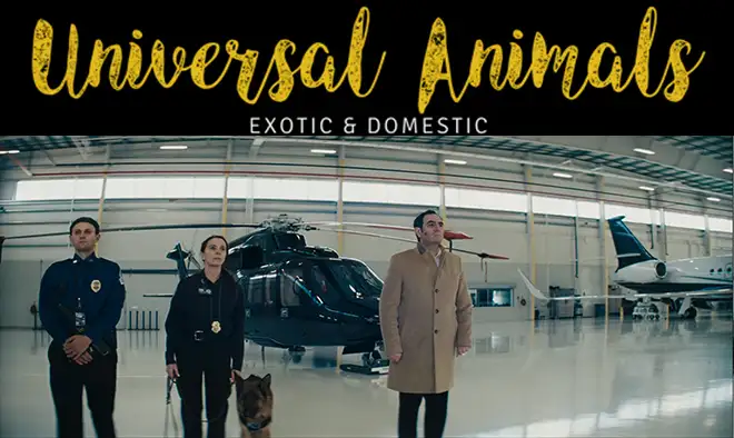 Universal Animals cast the dog in Anora!