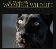 Steve Martin\'s Working Wildlife has a new website