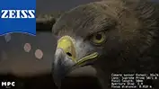 In Development: ZEISS Virtual Lens Technology Elevating VFX with physically based lens effects