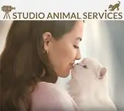 Studio Animal Services Stars in Latest Fancy Feast Commercial