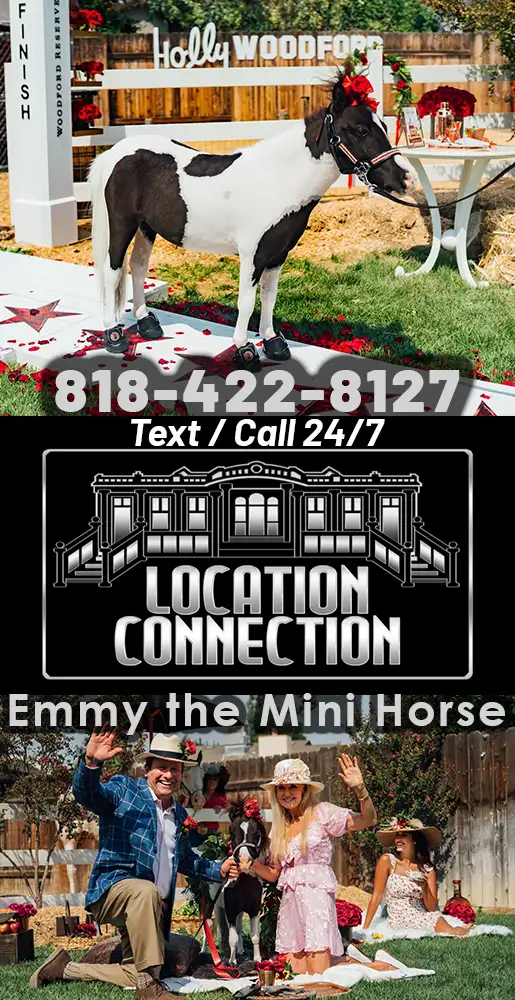 LOCATION CONNECTION<br />Emmy the Mini Horse