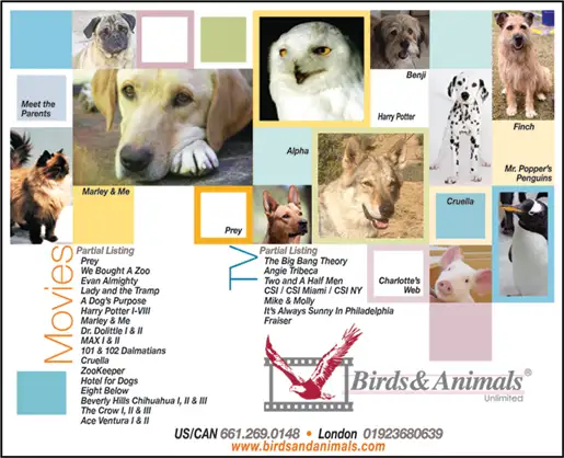 BIRDS & ANIMALS<br />UNLIMITED