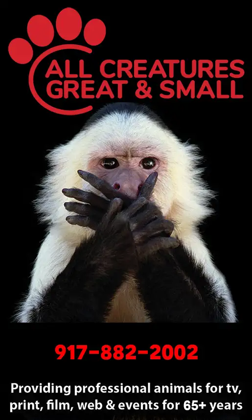ALL CREATURES<br />GREAT &amp; SMALL