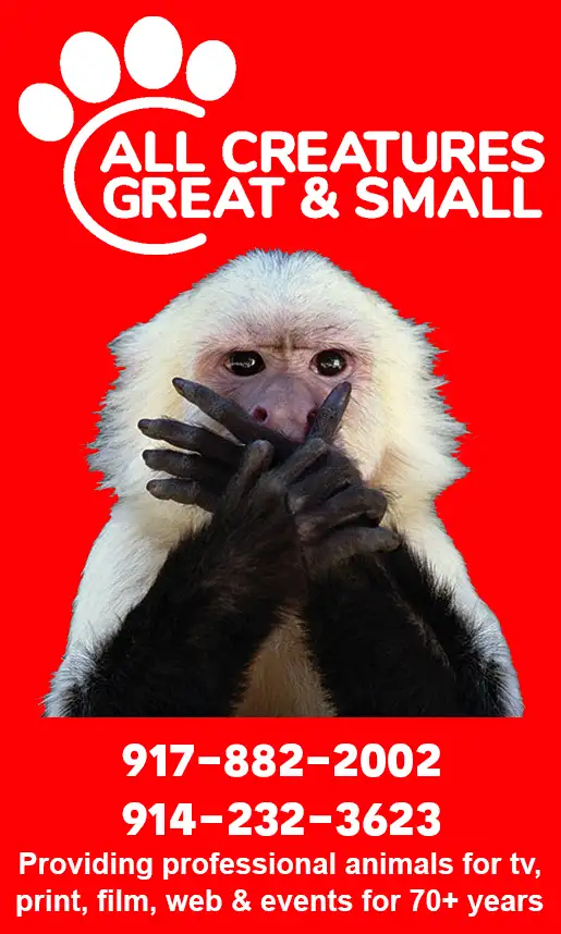 ALL CREATURES<br />GREAT & SMALL