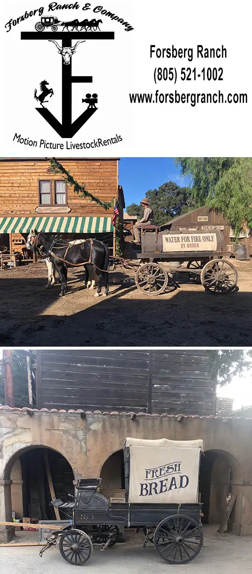 FORSBERG RANCH &amp; COMPANY