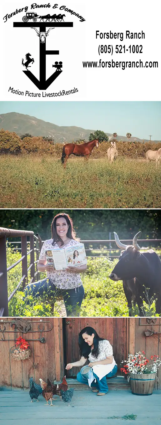 FORSBERG RANCH &amp; COMPANY