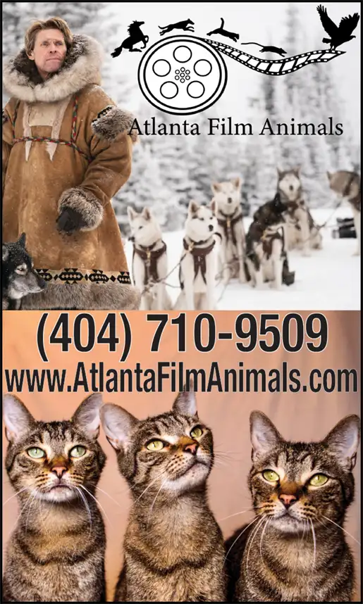 ATLANTA FILM ANIMALS 