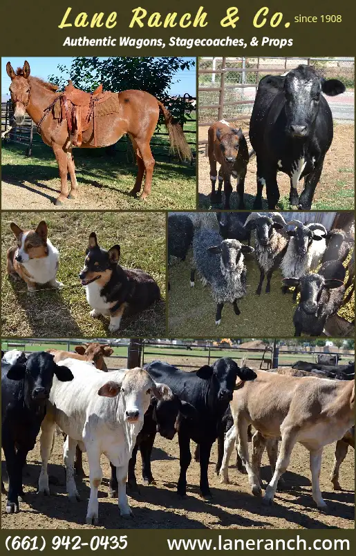 1AA LANE RANCH & CO.