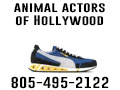 Animal Actors of Hollywood