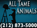 ALL TAME ANIMALS