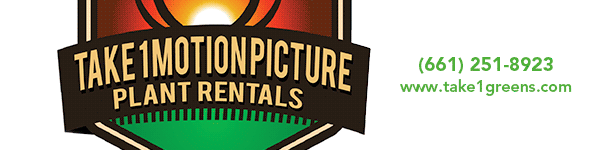 Take 1 Motion Picture Plant Rentals