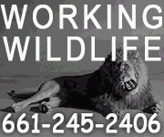 Steve Martin\'s Working Wildlife
